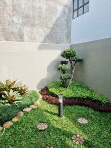 cỏ trang trí công viên mini