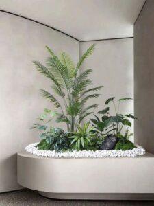 cỏ trang trí tiểu cảnh
