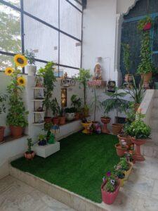cỏ trang trí trong nhà