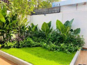 cỏ xanh mượt trang trí