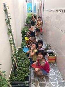 vườn rau cho bé