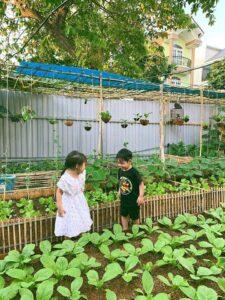 vườn rau hộ gia đình