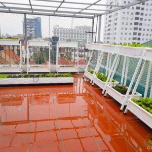 vườn rau sạch ban công