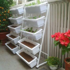 vườn rau sạch hộ gia đình