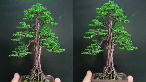 bonsai dáng thẳng đứng
