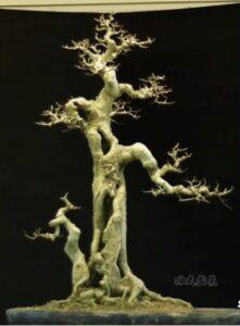 bonsai dáng trực
