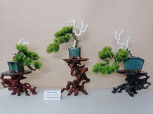 bonsai mini phòng khách
