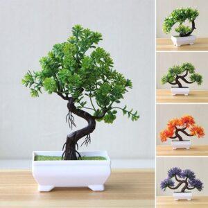 bonsai mini trang trí phòng khách