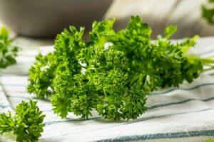 cây thảo mộc detox