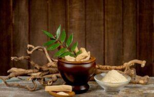 cây thuốc dân gian phổ biến