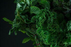 cây xanh detox