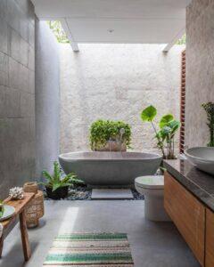 cây xanh phòng tắm