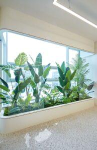 cây xanh smart home