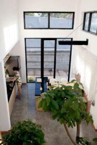 cây xanh studio