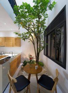 cây xanh trong căn hộ nhỏ