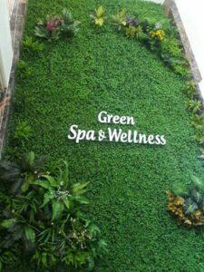 cây xanh trong spa và làm đẹp