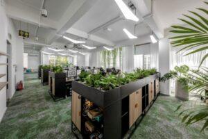 cây xanh văn phòng startup