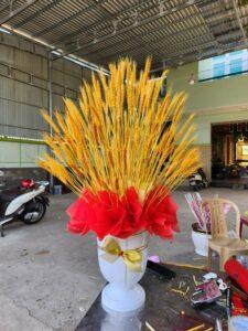 cỏ bông lau trang trí