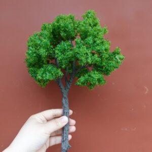 nhân giống cây cảnh bằng mô cấy