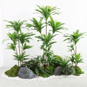 nhân giống cây cảnh bằng thủy canh