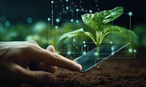 nhân giống cây cảnh bio-tech