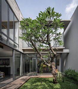 thiết kế không gian xanh trong nhà 