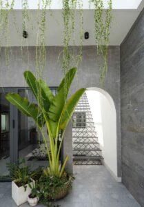 thiết kế không gian xanh trong nhà