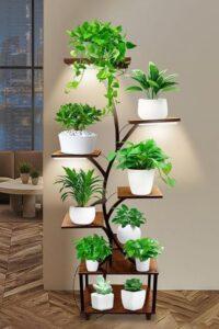 lam-sach-la-cay-song-ao